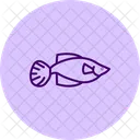 Guppy Animal De Estimacao Peixe Icon