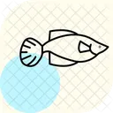 Guppy Animal De Estimacao Peixe Icon