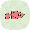 Guppy Animal De Estimacao Peixe Icon