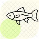 Guppy Oceano Marinho Ícone