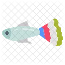 Guppy Common Crap Fish Symbol