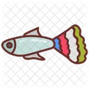 Guppy Common Crap Fish 아이콘