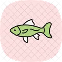 Guppy Ocean Marine Icon