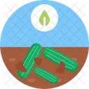 Bio Lebensmittel Und Landwirtschaft Bauernhof Bio Lebensmittel Symbol