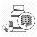 Gut health  Icon