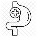 Gut Health  Icon
