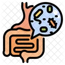 Gut Microbiota Icon