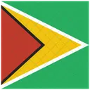 Guyana Nacional Pais Icono