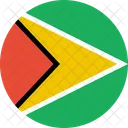 Guyana Flag Country Icon