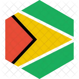 Guyana Flag Icon