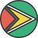 Guyana Guyanese Country Icon