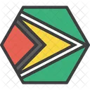 Guyana Guyanese Country Icon