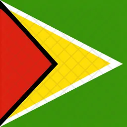 Guyana Flag Icon