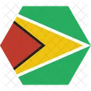 Guyana Staatsangehoriger Land Symbol