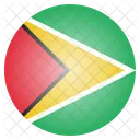 Guyana Guyanisch National Symbol