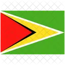 Flagge Land Guyana Symbol