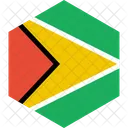 Guyana Flagge Welt Symbol