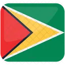 Guyana Guyana Flagge Flagge Von Guyana Symbol