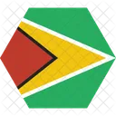 Guyane  Icon