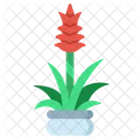 Guzmanie Flora Blume Symbol