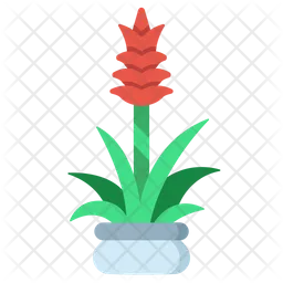 Guzmania  Icon