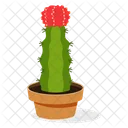 Gymnocalycium Plant  Icon