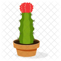 Gymnocalycium Plant  Icon