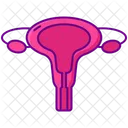 Gynaecologist Uterrus Womb Icon