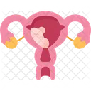 Gynecologic  Icon