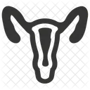 Gynecologie Uterus Vagin Icône