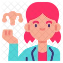 Gynecologist Gynecology Doctor Icon
