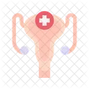 Gynecology Medical Uterus Icon
