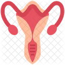 Gynecology  Icon