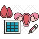 Gynecology Woman Reproductive Icon