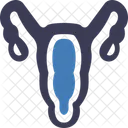 Gynecology Reproductive Uterus Icon