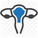 Gynecology Uterus Ovary Icon