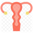Gynecology  Icon