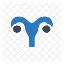 Gynecology Uterus Ovary Icône