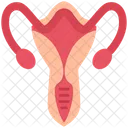 Gynecology  Icône