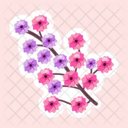 Gypsophila Paniculata  Icon