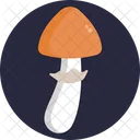 Mushrooms Gypsy Mushroom Mushroom Icon