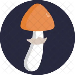 Gypsy Mushroom  Icon