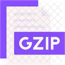 Gzip Format Type Icône