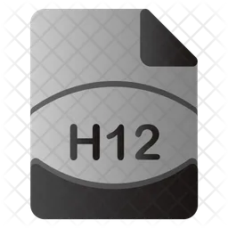 H12 File  Icon