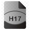 H17 File  Icon