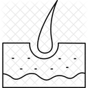 Haarzwiebel  Symbol