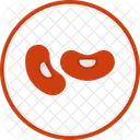 Haba de soja  Icon