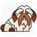 Habanero  Icono