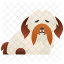 Habanero  Icono