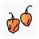 Habanero Pepper  Icône